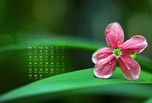 1692922161234781.png image.png