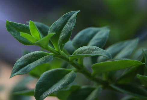 1692922327206466.png image.png