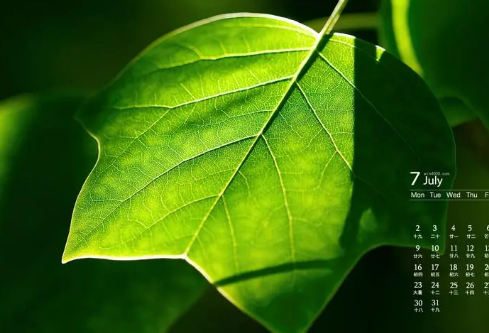 1692977967133536.png image.png