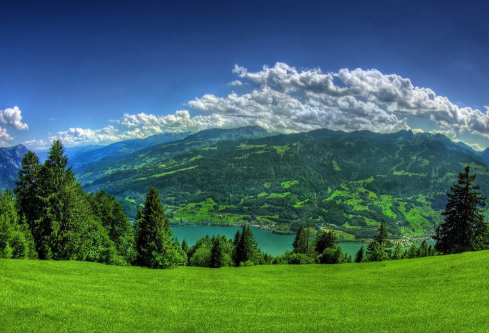 1692978796122016.png image.png