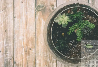 ​天涯明月刀带符号名字(共77个)