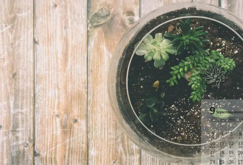 1692978961871092.png image.png