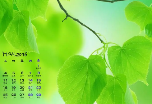 1692979127775863.png image.png