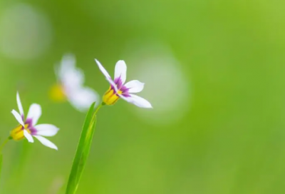 ​最沙雕的宿舍群名(共64个)