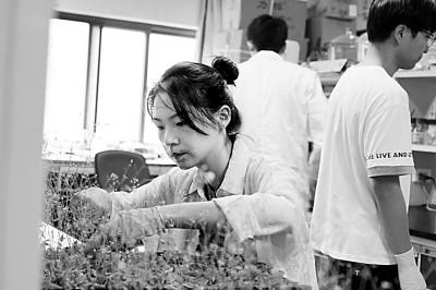 学科专业分类大纲最新（新版学科专业目录）(2)