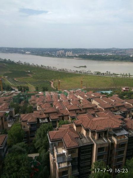 泸州酒大道房价