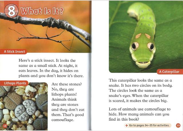 英语学习资料大全免费（寒假期间原版英语学习资料大放送）(23)