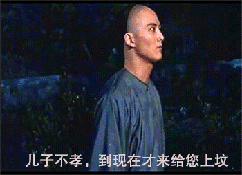 许鞍华是什么人物 许鞍华和她的乡愁(38)