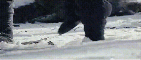 许鞍华是什么人物 许鞍华和她的乡愁(5)