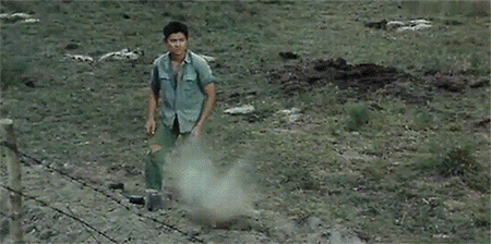 许鞍华是什么人物 许鞍华和她的乡愁(15)