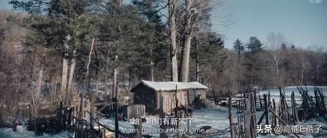 许鞍华是什么人物 许鞍华和她的乡愁(6)