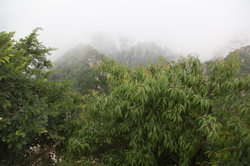 太美了!!!一起来欣赏狼牙山风景区