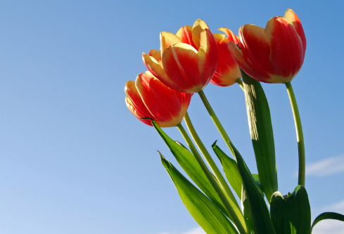 1704185925747375.png image.png
