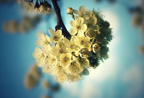 1714293069120622.png image.png