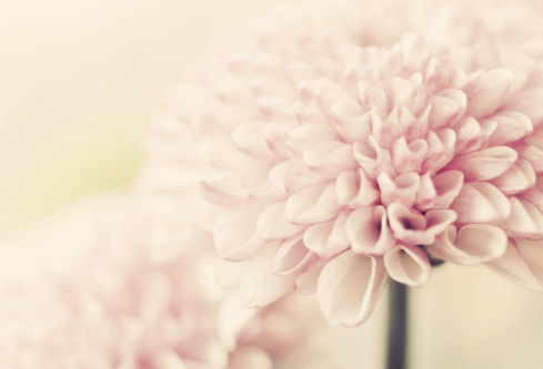 1714295388423518.png image.png