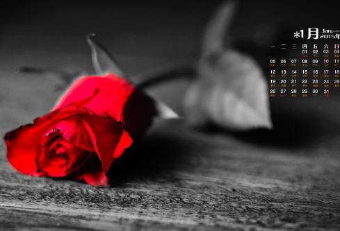 1714301684170534.png image.png