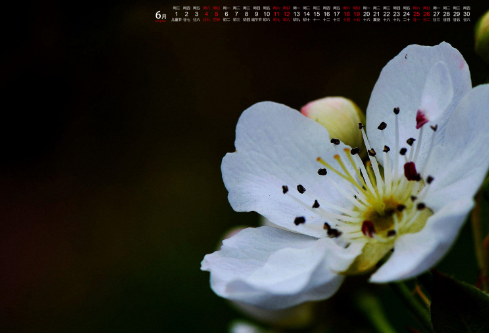 1714303175137585.png image.png
