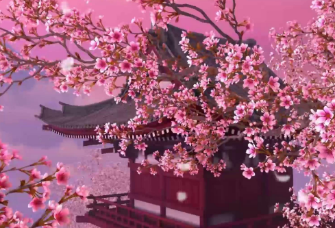 1714303341839334.png image.png