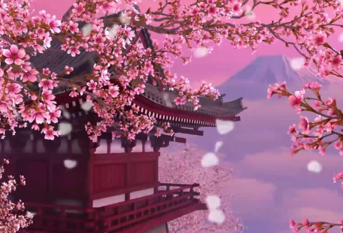 1714304004319554.png image.png