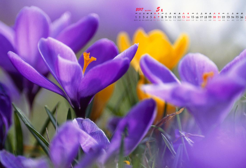 1714304500566728.png image.png