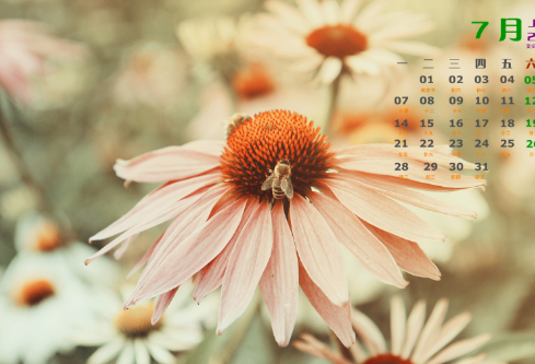 1714306322116637.png image.png