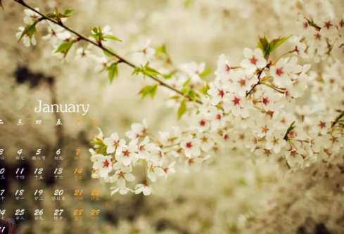 1714309471140503.png image.png