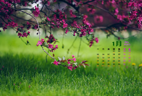 1714310794480923.png image.png
