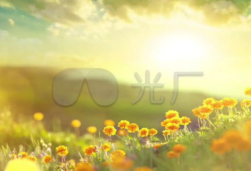 1714311126121392.png image.png