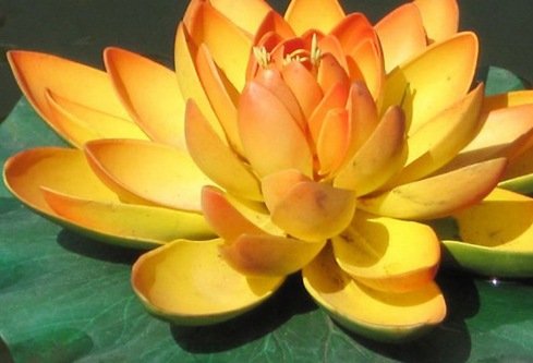 1714317533121900.png image.png