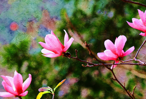 1714320514968645.png image.png
