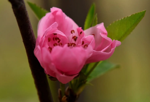 1714322501110832.png image.png
