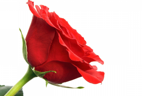 1714322667684936.png image.png
