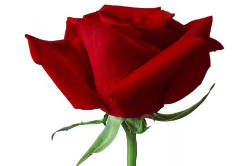 1714322999825091.png image.png