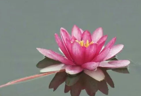 1714327307752970.png image.png