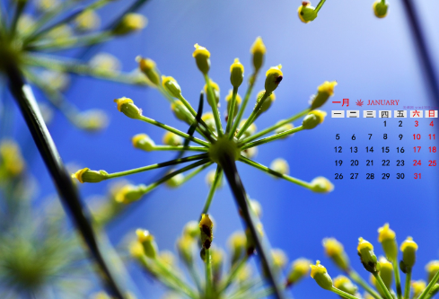 1714330787103444.png image.png