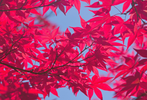 1714331780925785.png image.png